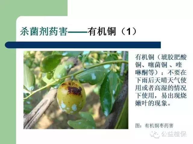 杀螨和杀菌能否一起调配，探讨农药混用的可行性