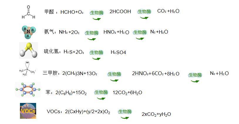 生物酶空气净化，引领新时代的空气净化技术