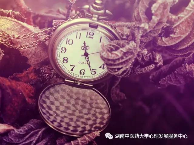 为爱所痴 第11页