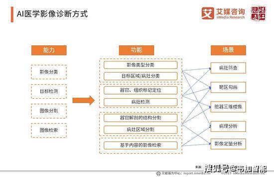 人工智能本科毕业就业方向，多元化发展路径与前景展望