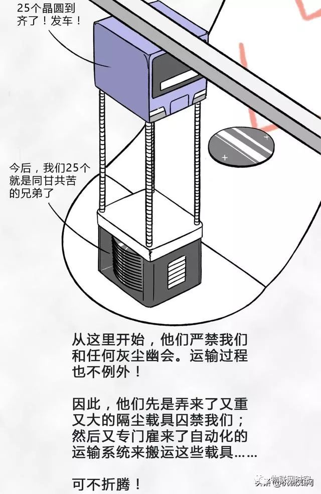 色桨的生产过程，从原料到成品