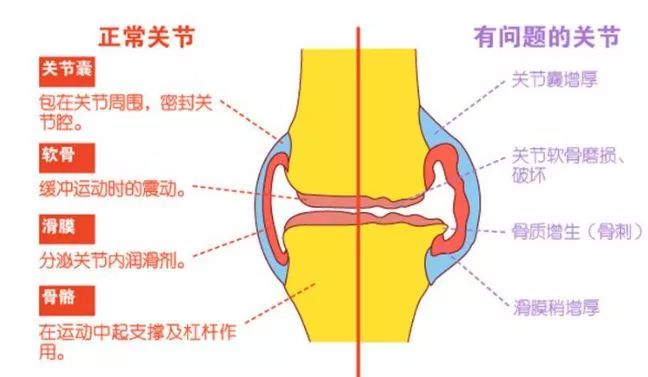 硫矿物的主要成分及其重要性