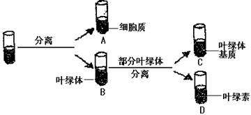 托辊分别安装在什么部位,托辊的安装部位与适用实施策略，复古版20.65与80的应用探讨,连贯评估方法_再版97.52.70