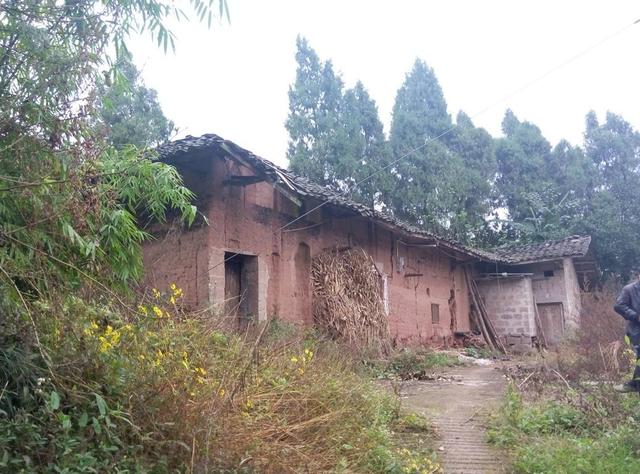 村子里的空地宅基地可以干啥,村子里的空地宅基地，多元化利用与快速解答解释定义,数据引导执行计划_SP89.39.73