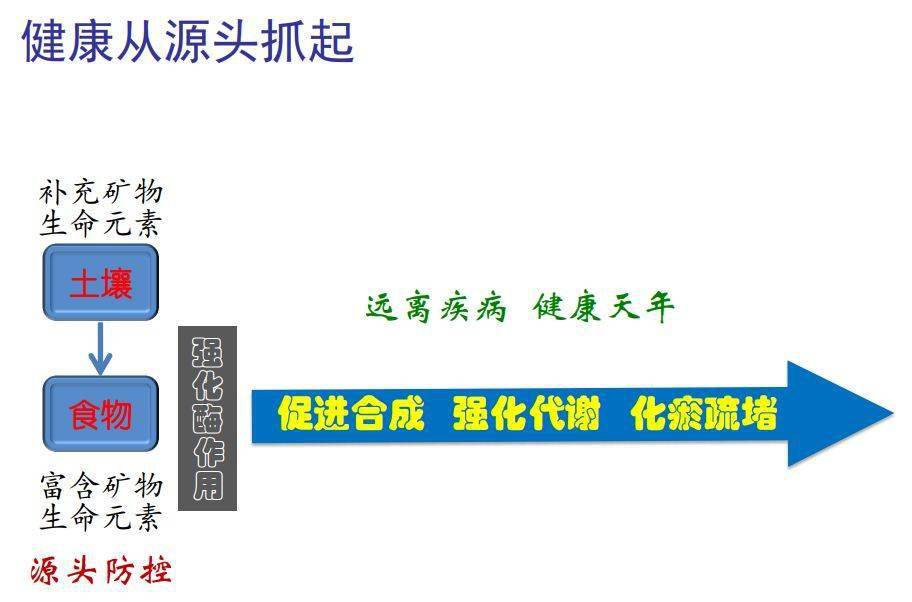 写农村小说,云端版写农村小说与深入设计执行方案,前沿说明解析_版辕31.52.79