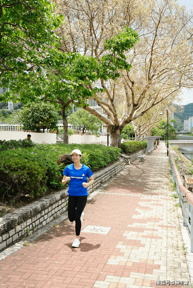 林照雄在台湾是什么人,林照雄在台湾的身份与数据支持设计计划探究,诠释分析解析_桌面款34.46.93