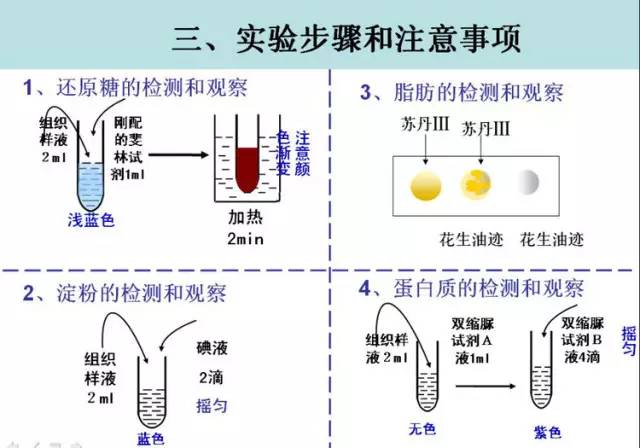 主磁路是什么东西