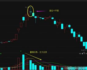 英伟达公司股价